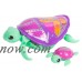 Little Live Pets Turtle - Jules   564431649